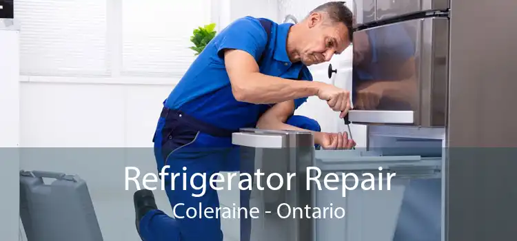 Refrigerator Repair Coleraine - Ontario