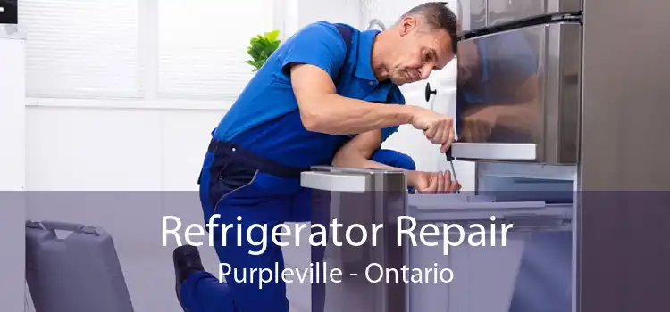 Refrigerator Repair Purpleville - Ontario
