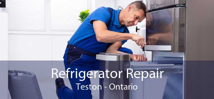 Refrigerator Repair Teston - Ontario
