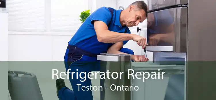 Refrigerator Repair Teston - Ontario