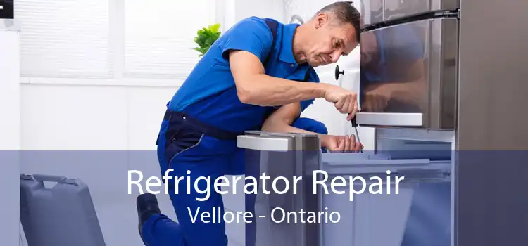 Refrigerator Repair Vellore - Ontario