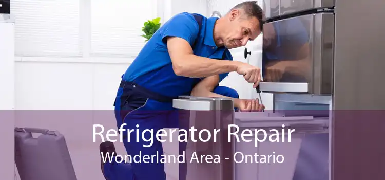 Refrigerator Repair Wonderland Area - Ontario